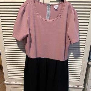 3XL LuLaRoe Amelia
